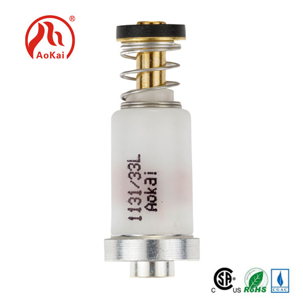 It pleatsen fan 'e flamme: de rol fan Solenoïde Valve BBQ yn Grilling Mastery