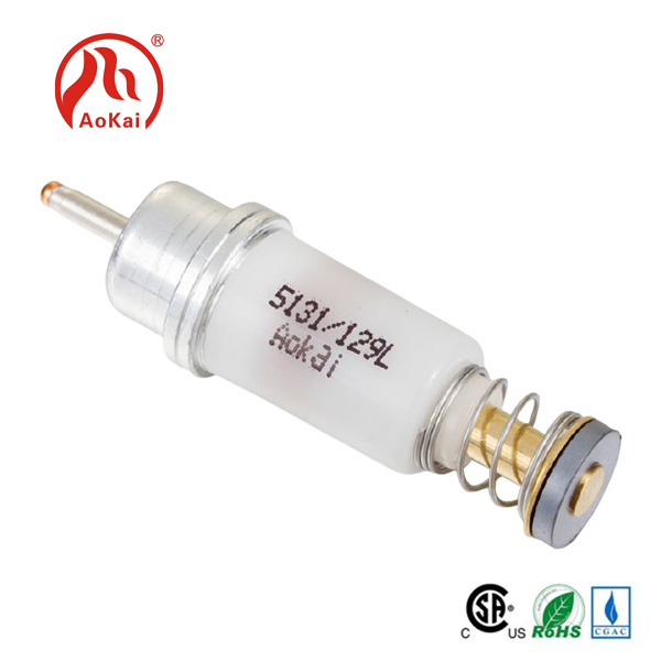 Wat is wetterwarmers Solenoïde valve?